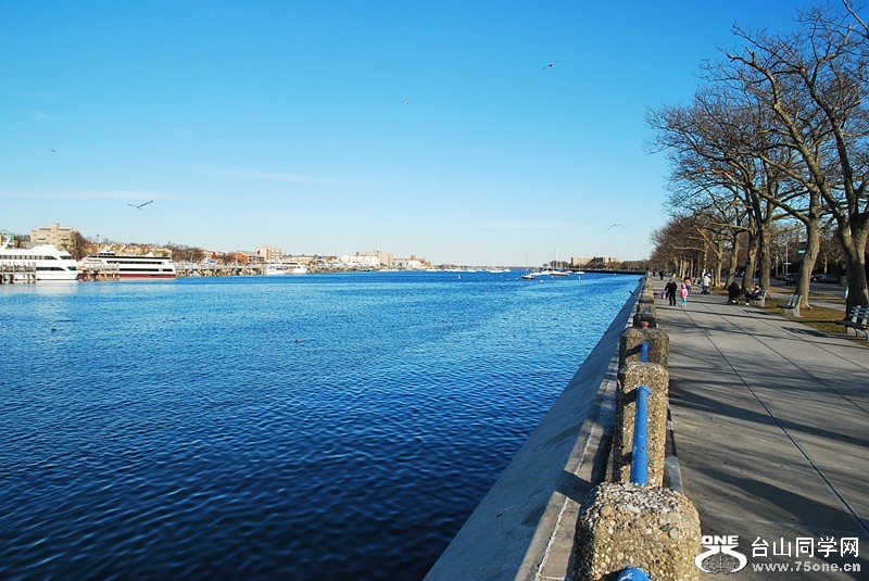 DSC_0267_.jpg