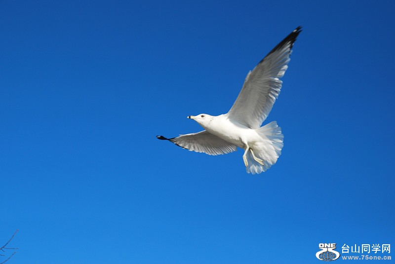 DSC_0226_.jpg