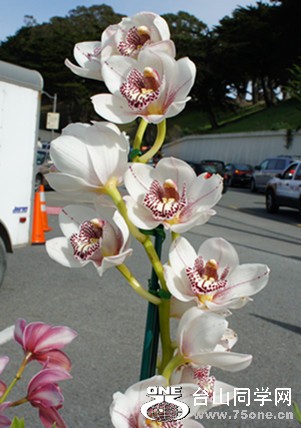 DSC02349_.jpg