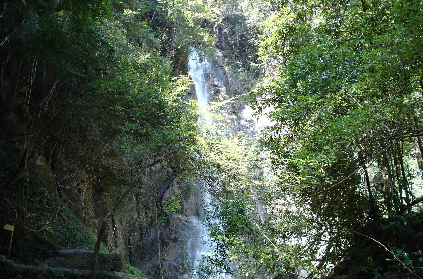 DSC00243A.jpg