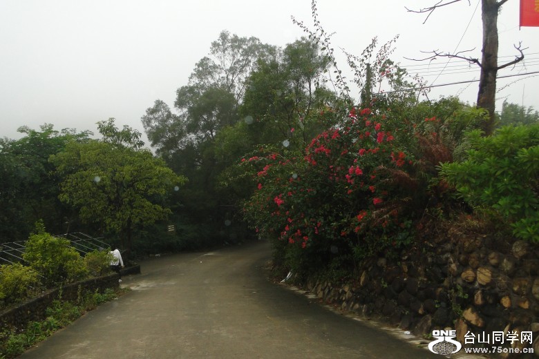 DSC06412_conew1.jpg