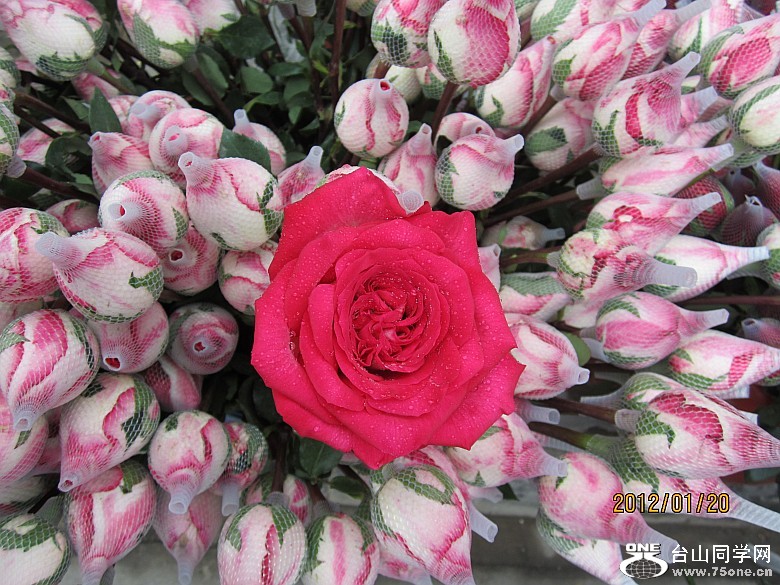 껨λ 073_conew2.jpg