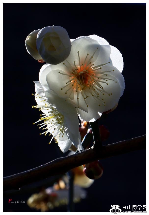 }u -÷2012 366-a.jpg