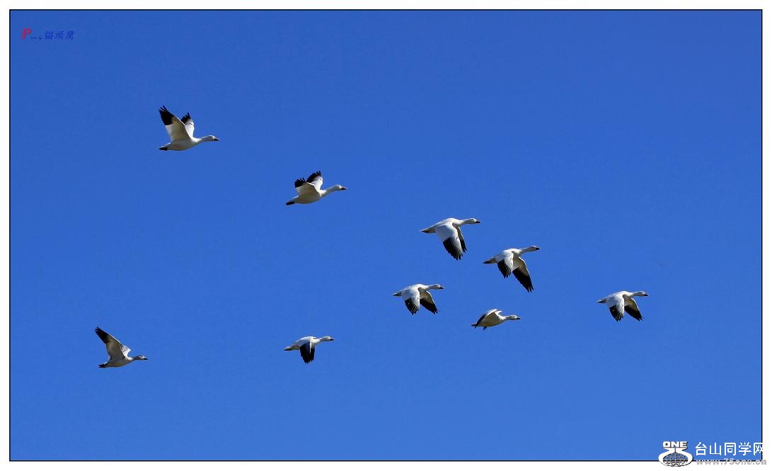 }u -}u -ѩ 835-1-a-c.jpg