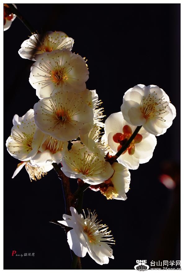 }u -÷2012 194-a-c.jpg