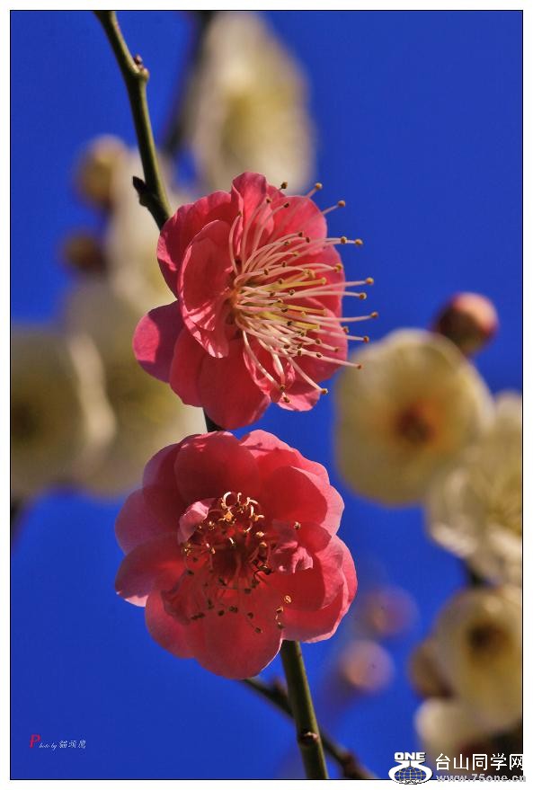 }u -÷2012 061-a-1.jpg