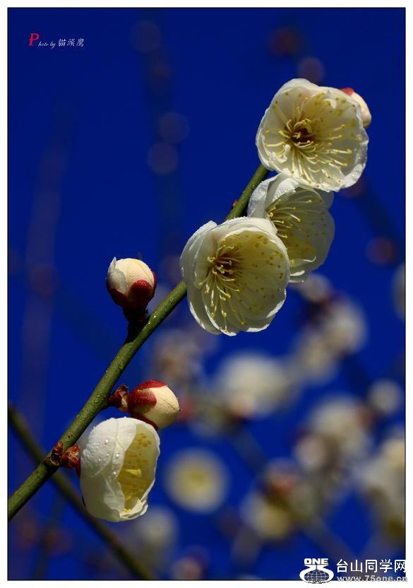 }u -÷2012 078-a.jpg