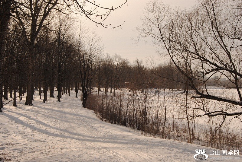 DSC_0205.JPG