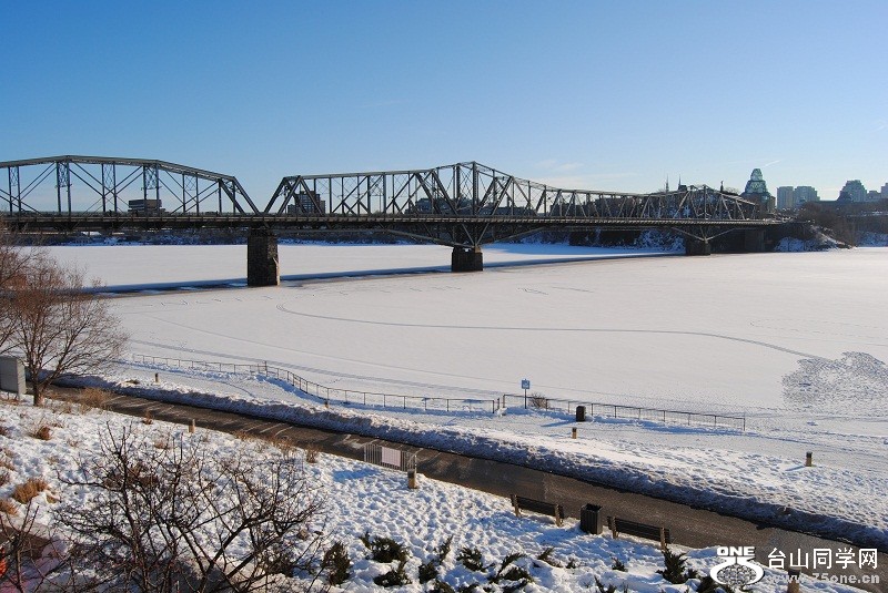 DSC_9919.JPG