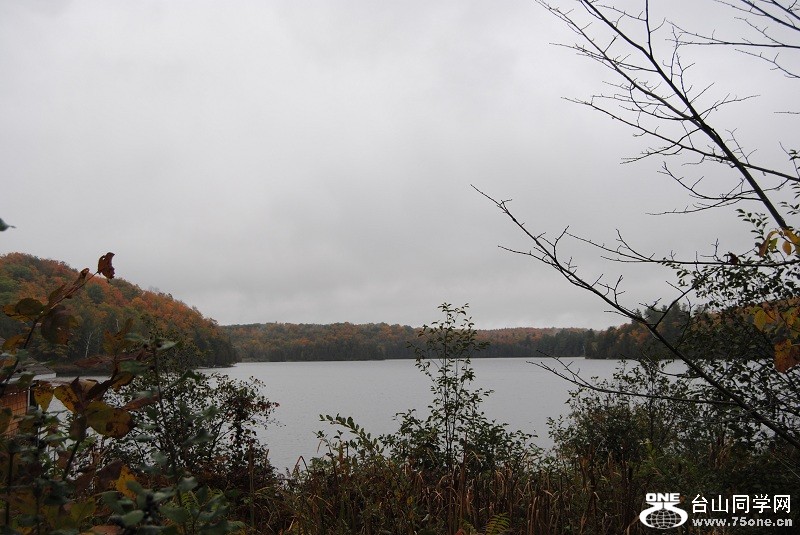 DSC_7995.JPG