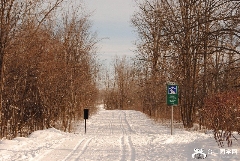 DSC_0198.JPG