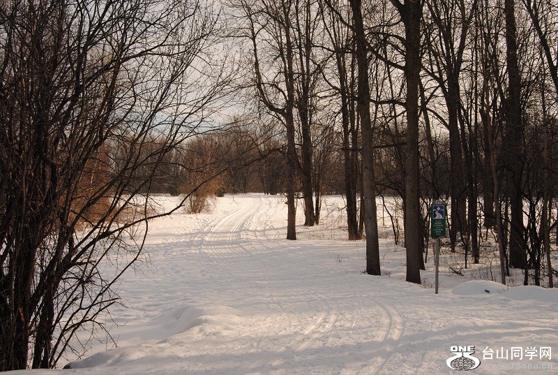 DSC_0204.JPG