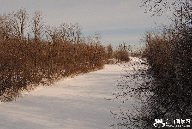 DSC_0202.JPG