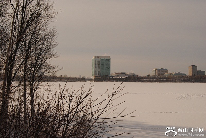 DSC_0203.JPG