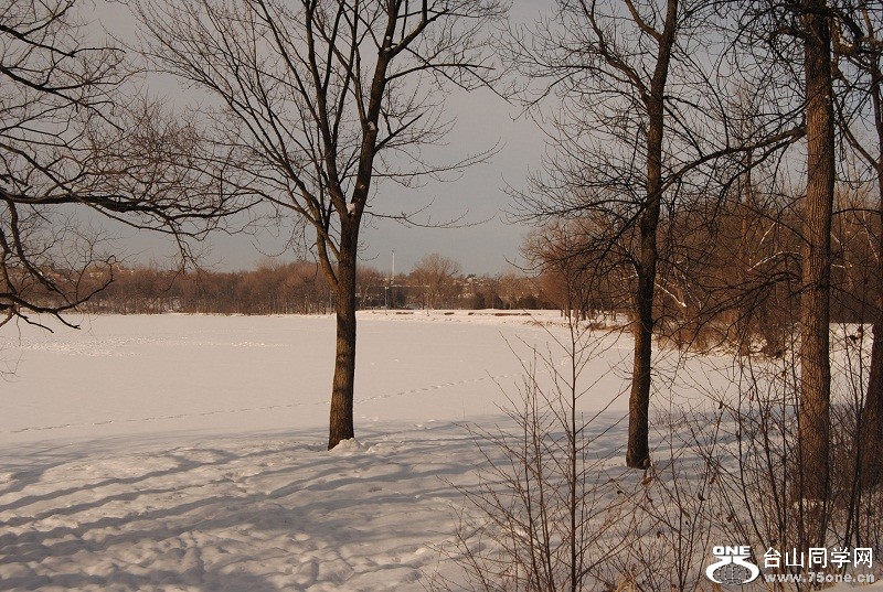 DSC_0211.JPG