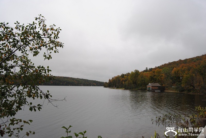 DSC_8011.JPG