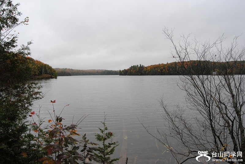DSC_8042.JPG