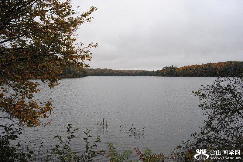 DSC_8000.JPG
