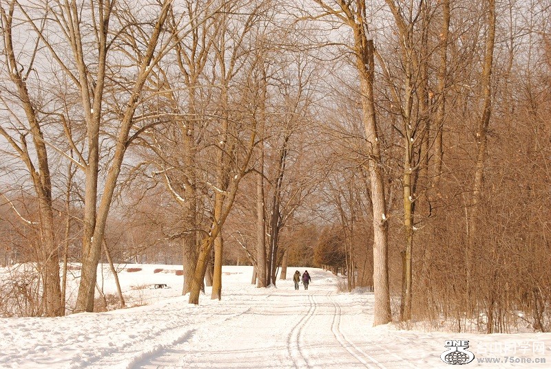 DSC_0213.JPG