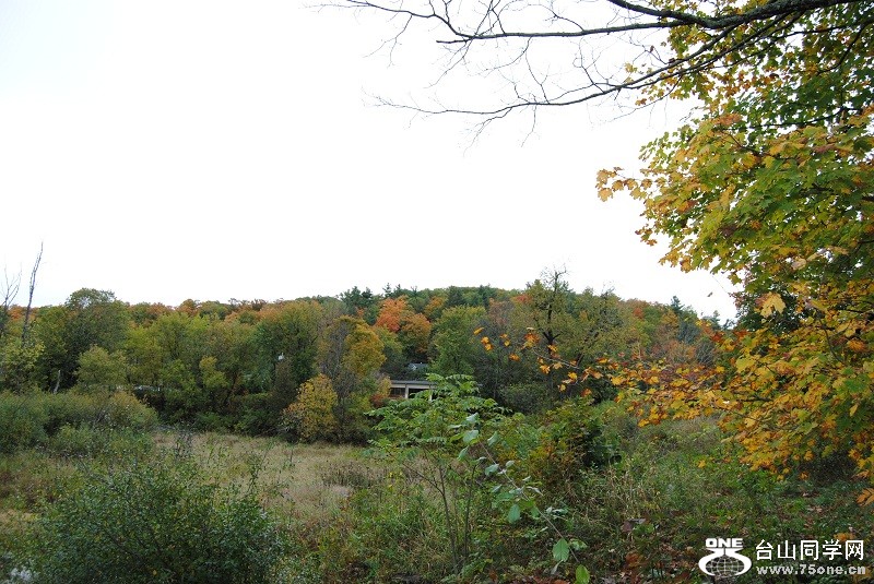 DSC_8092.JPG
