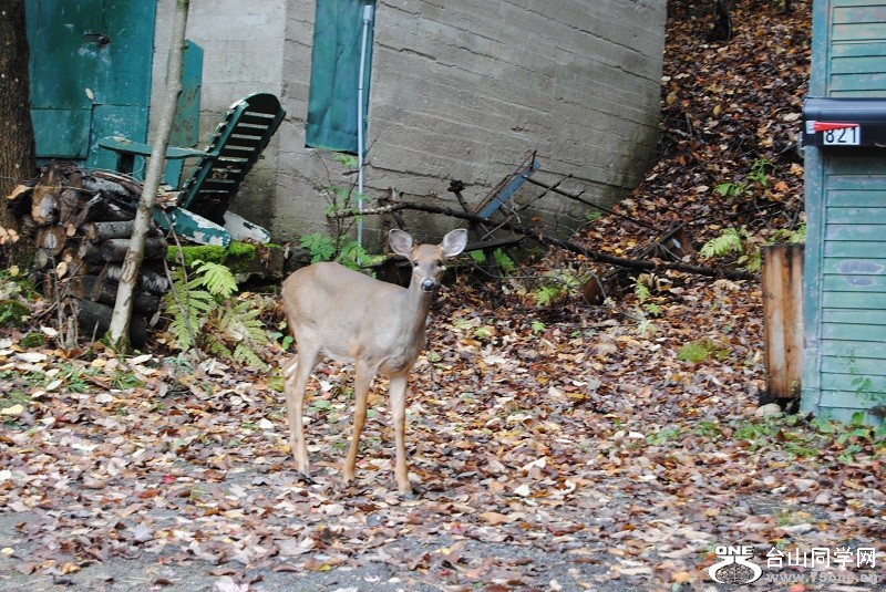 DSC_8057.JPG