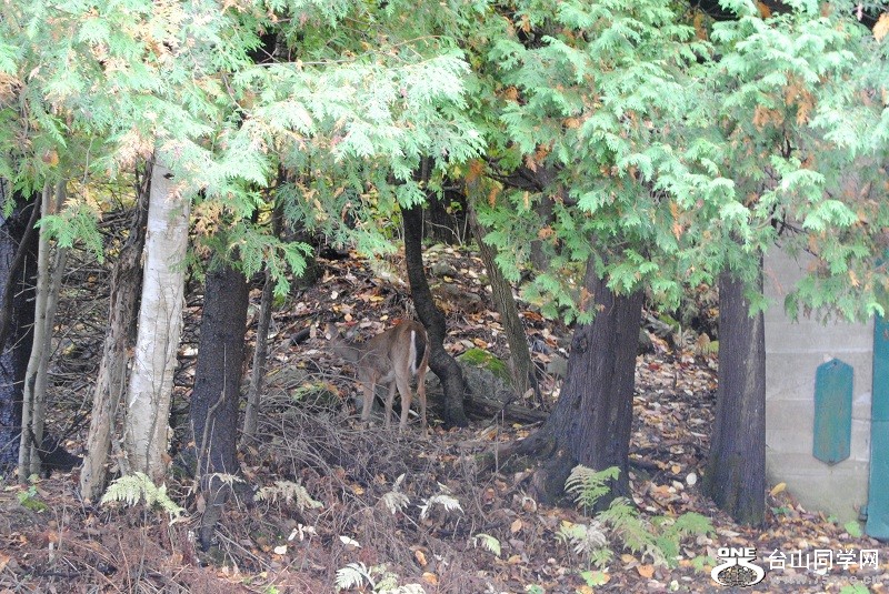 DSC_8050.JPG