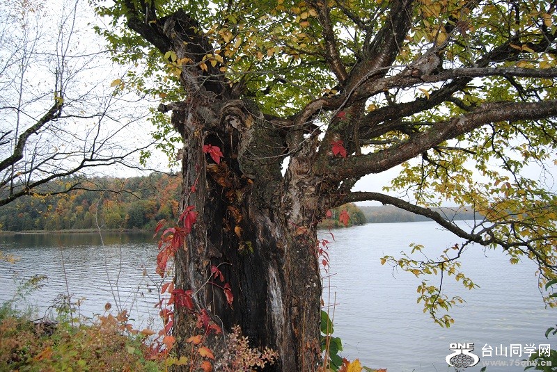 DSC_8044.JPG