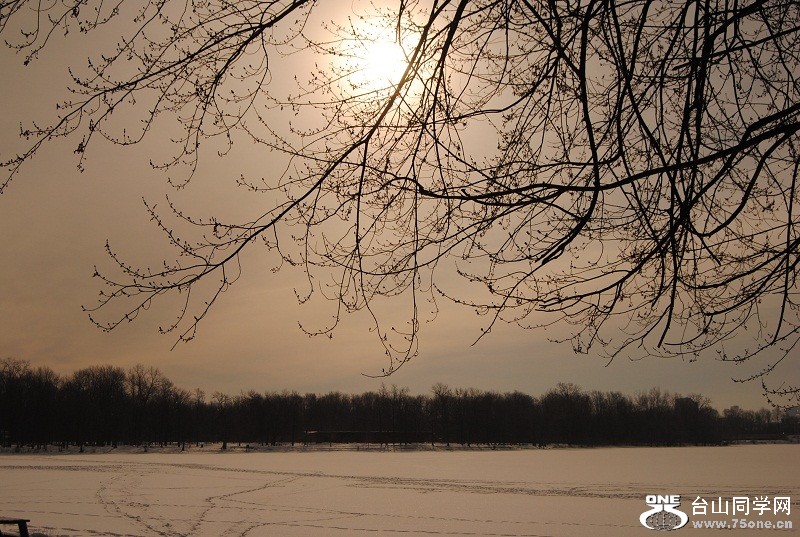 DSC_0192.JPG