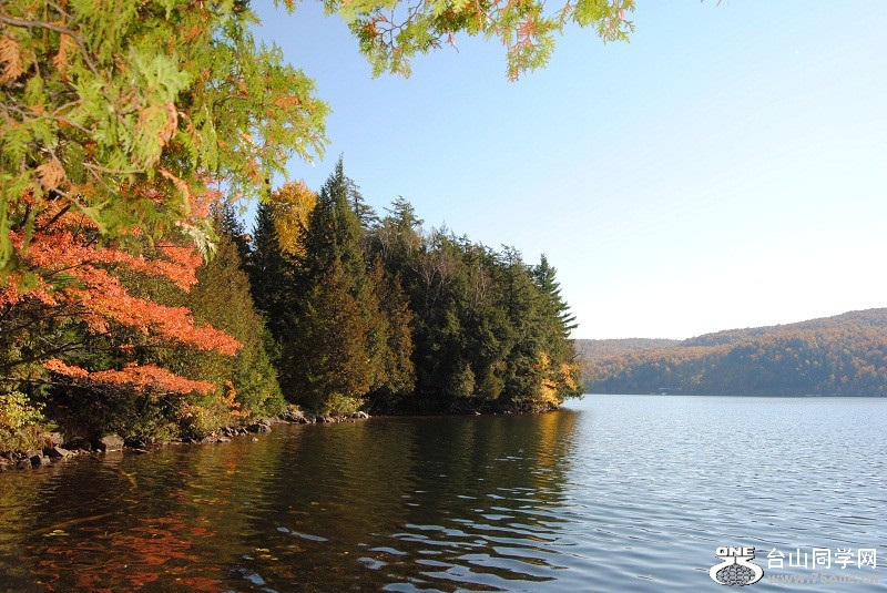 DSC_8260.JPG