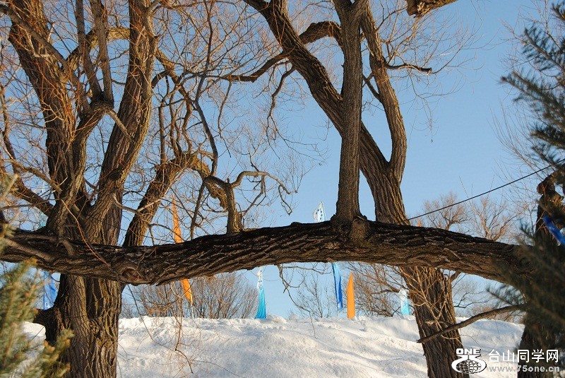 DSC_9954.JPG