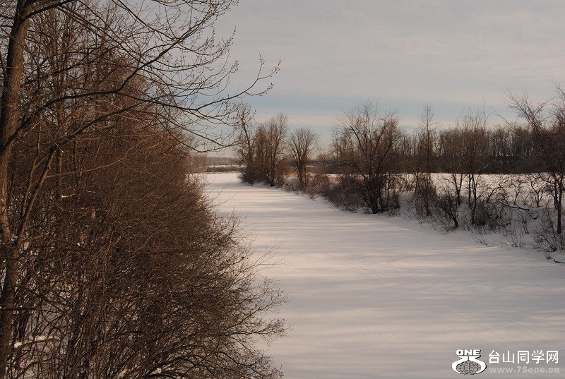 DSC_0200.JPG