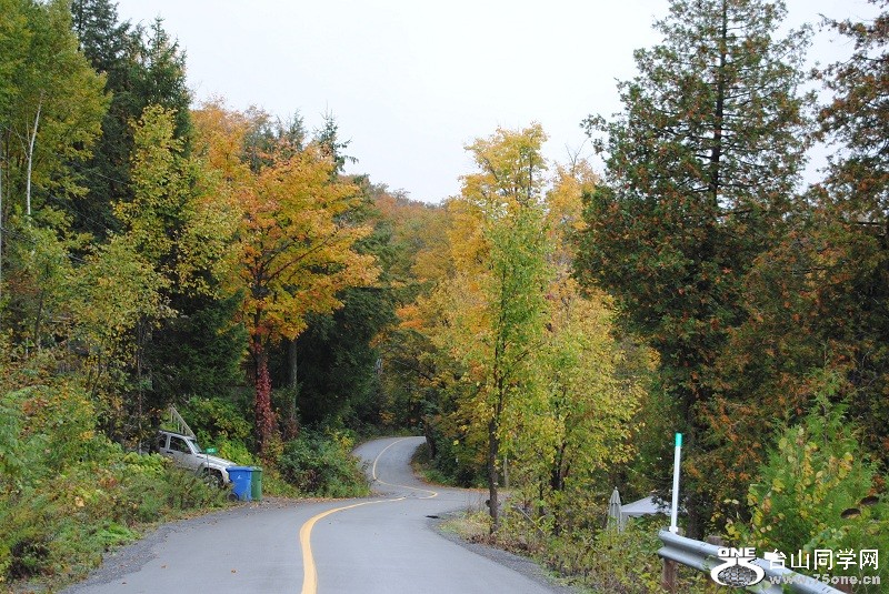 DSC_8017.JPG