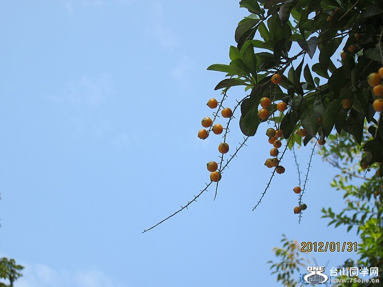 ��̨�¡���������� 016_conew1.jpg