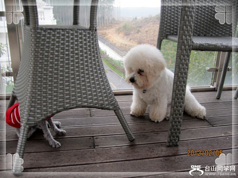 ��̨�¡���������� 272_conew1.jpg