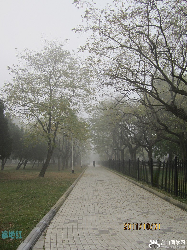 ɽ�������� 847_conew2.jpg