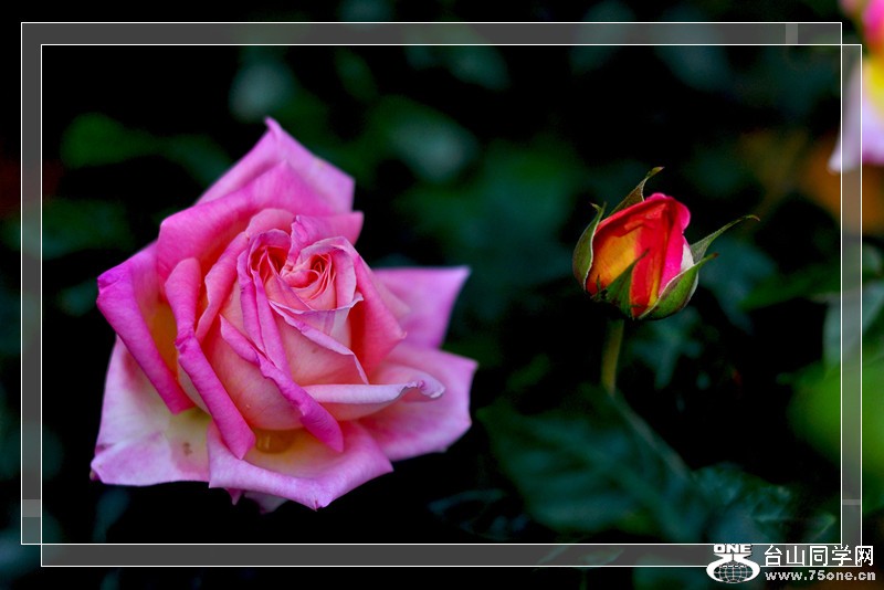 DSC_0312_.jpg