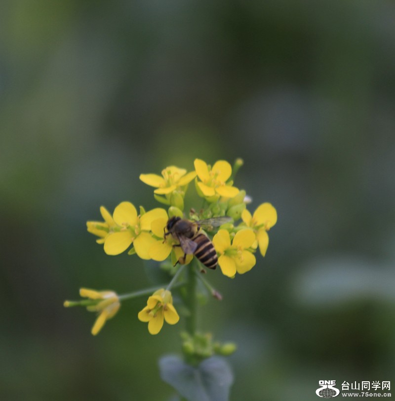 _MG_1702.JPG