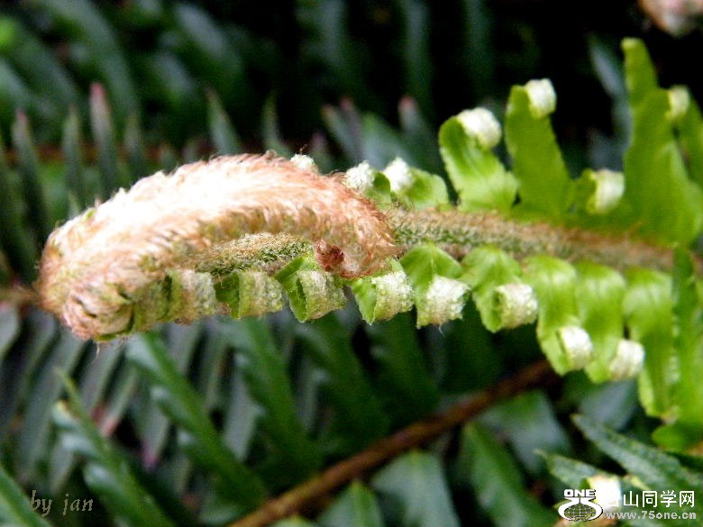 DSCF4582.JPG