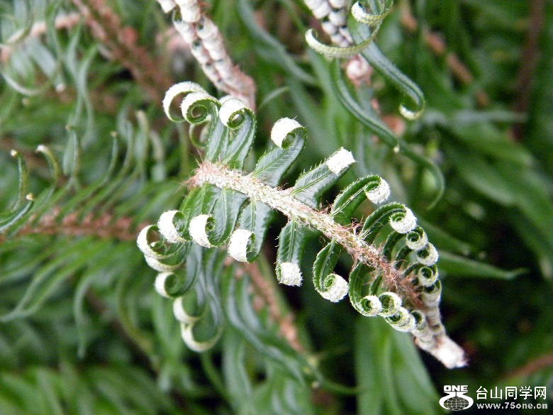 DSCF4522.JPG