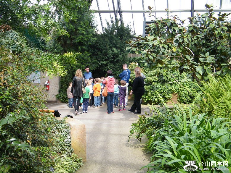 DSCF4523.JPG