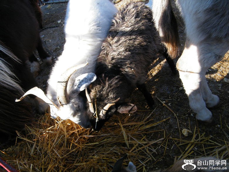 DSCF1840.JPG