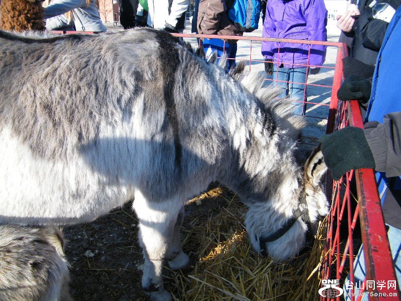 DSCF1837.JPG