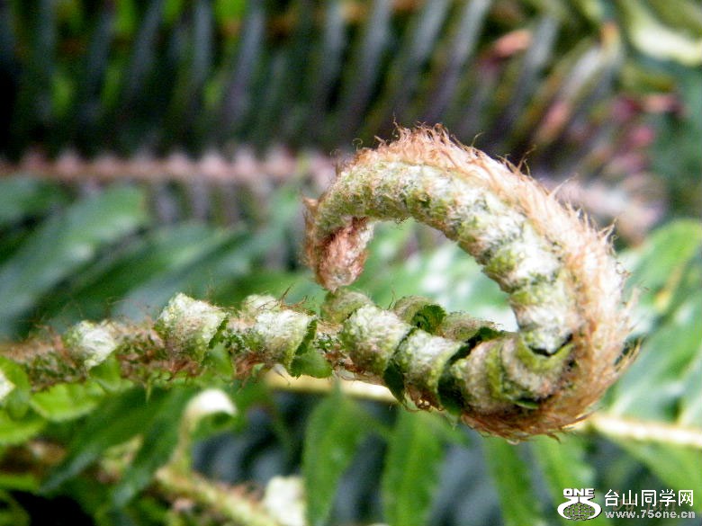 DSCF4581.JPG