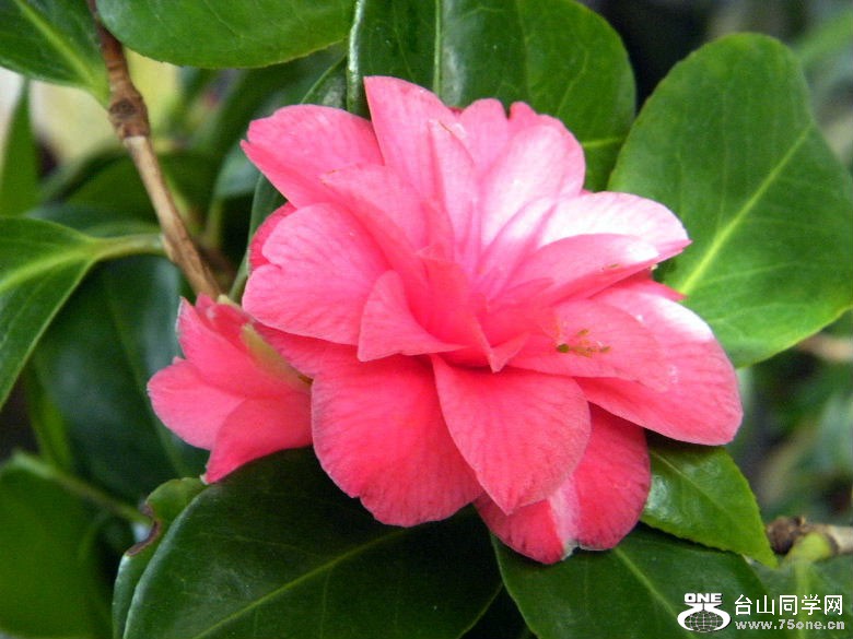DSCF4533.JPG