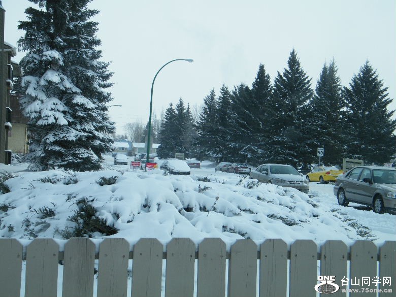 DSCF1500.JPG