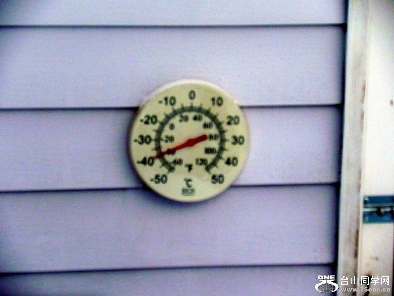 2010 10889303.jpg