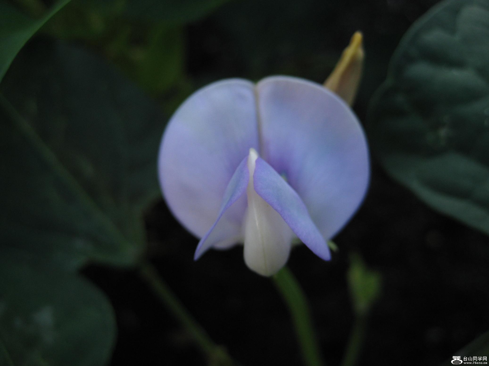 IMG_3864.JPG