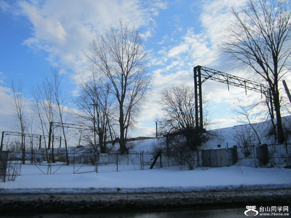 309.jpg