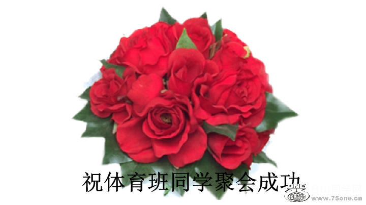 roses.png