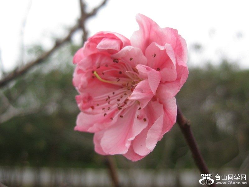 ݸ(2012.1.28-2.3) 116.jpg